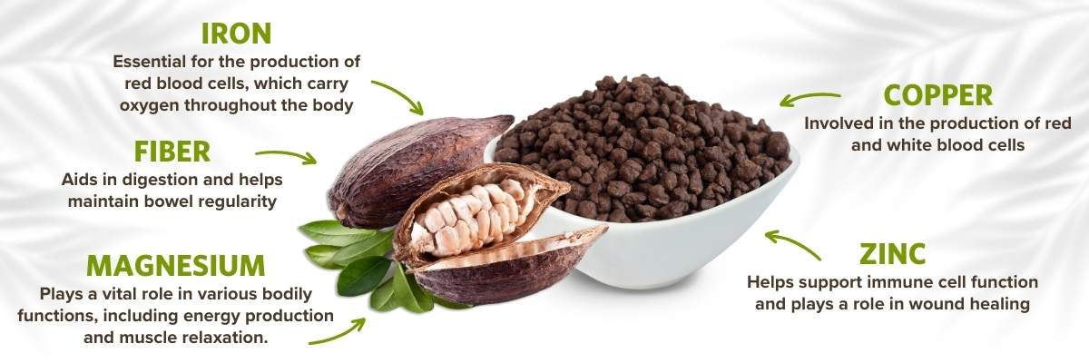 Exploring the Nutritional Profile of Cacao Nibs