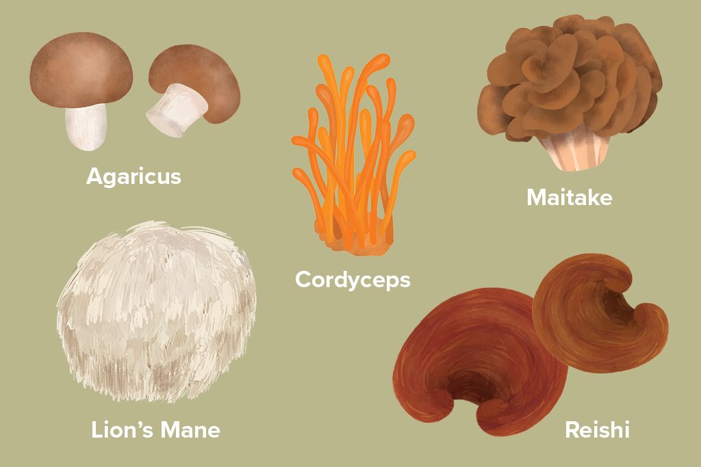 | Functional Mushrooms And Their Benefits - Nuliv Science Things To Know Before You Get This | Fazlerasheed and Company April 2024